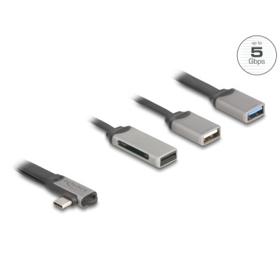 Delock 2 Port USB Hub including SD and Micro SD Card Reader with USB Type-C™ connector