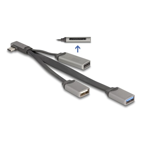 Delock 2 Port USB Hub including SD and Micro SD Card Reader with USB Type-C™ connector