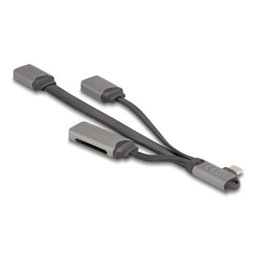 Delock 2 Port USB Hub including SD and Micro SD Card Reader with USB Type-C™ connector
