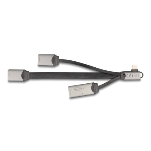 Delock 2 Port USB Hub including SD and Micro SD Card Reader with USB Type-C™ connector
