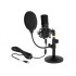 Delock Professional USB Condenser Microphone Set for Podcasting and Gaming