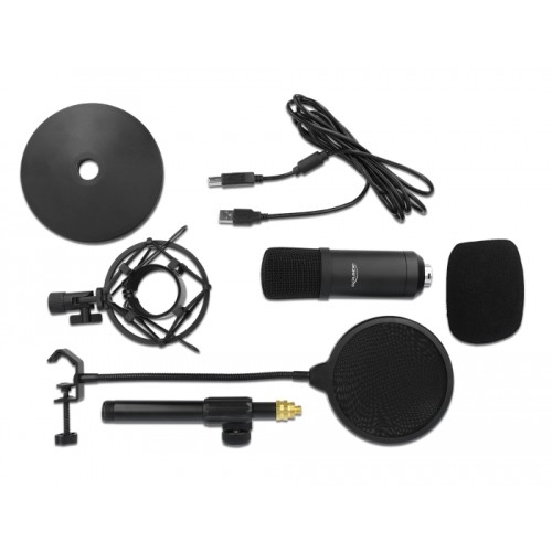 Delock Professional USB Condenser Microphone Set for Podcasting and Gaming