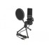 Delock USB Condenser Microphone Set - for Podcasting, Gaming and Vocals