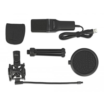 Delock USB Condenser Microphone Set - for Podcasting, Gaming and Vocals 2