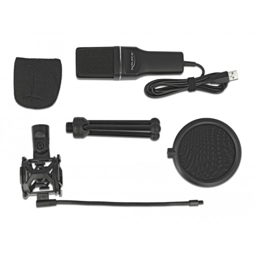 Delock USB Condenser Microphone Set - for Podcasting, Gaming and Vocals