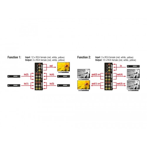 Delock Switch Audio / Video 4 port manual bidirectional