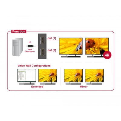 Delock DisplayPort 1.2 Splitter 1 x mini DisplayPort in > 2 x DisplayPort out 4K 2