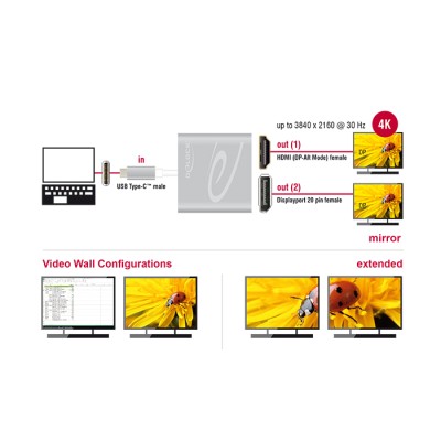 Delock USB Type-C™ Splitter (DP Alt Mode)  1 x HDMI + 1 x DisplayPort out 4K 30 Hz 2