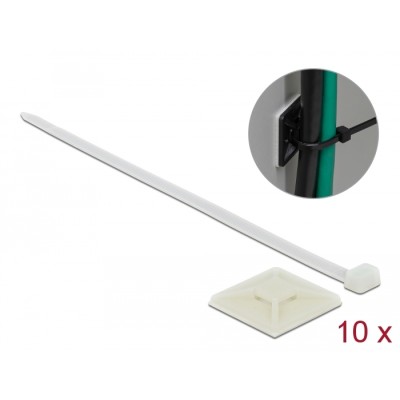 Delock Cable Tie Mount 40 x 40 mm with Cable Tie L 250 x W 7.2 mm white