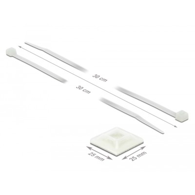 Delock Cable Tie Mount 25 x 25 mm with Cable Tie L 300 x W 4.8 mm white 2