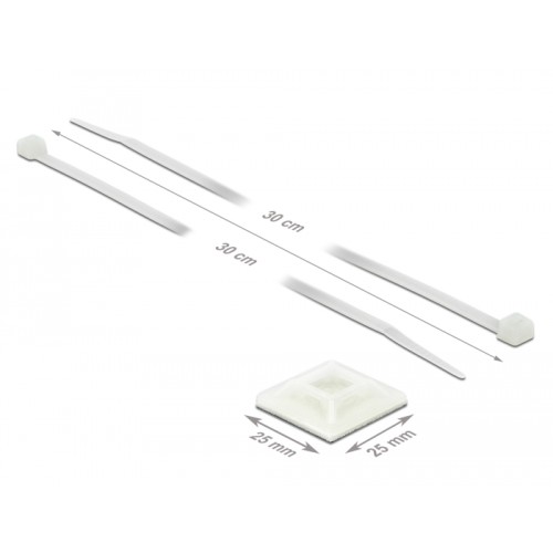 Delock Cable Tie Mount 25 x 25 mm with Cable Tie L 300 x W 4.8 mm white