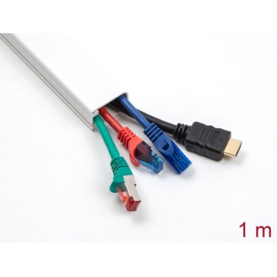 Delock Cable Duct with Cover self-adhesive 83 x 54 mm - length 1 m white