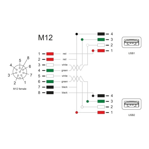 Delock M12 Cable A-coded 8 pin female to 2 x USB 2.0 Type-A female 2 m black