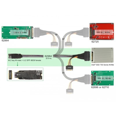 Delock M.2 Key M to U.2 SFF-8639 NVMe Adapter with 50 cm cable 2