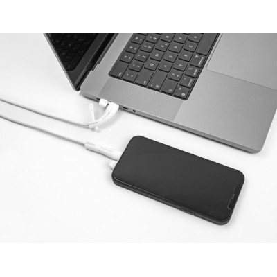 Delock Dust Cover for USB Type-C™ male and Apple Lightning™ male set 2 pieces white 2