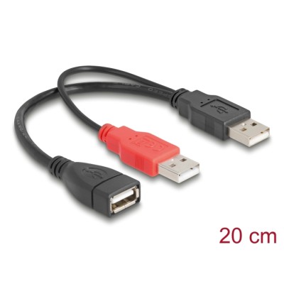 Delock Y cable 2 x USB 2.0 Type-A male  1 x USB 2.0 Type-A female 20 cm