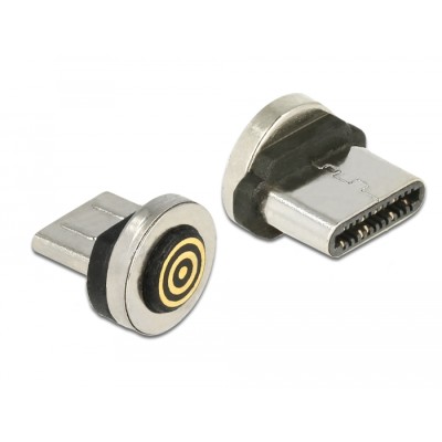 Delock Magnetic Adapter USB Type-C™ male 2