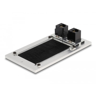 Delock Cable entry with brush and 2 x RJ45 module Cat.6 aluminium 2