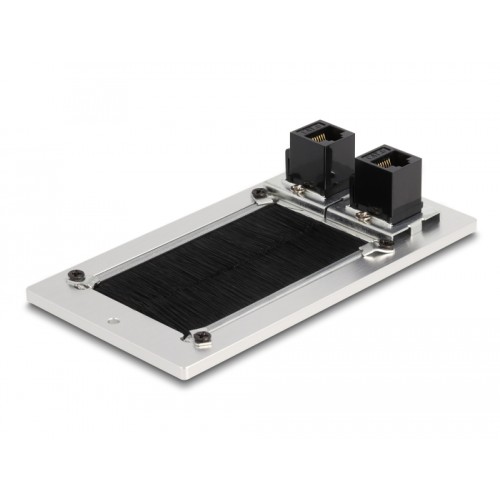 Delock Cable entry with brush and 2 x RJ45 module Cat.6 aluminium