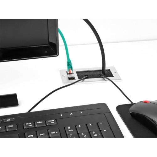 Delock Cable entry with brush and 2 x RJ45 module Cat.6 aluminium