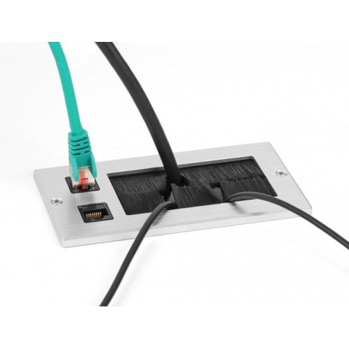 Delock Cable entry with brush and 2 x RJ45 module Cat.6 aluminium