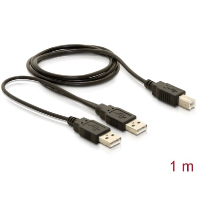 Delock Cable USB 2.0-B > USB-A power + power/data