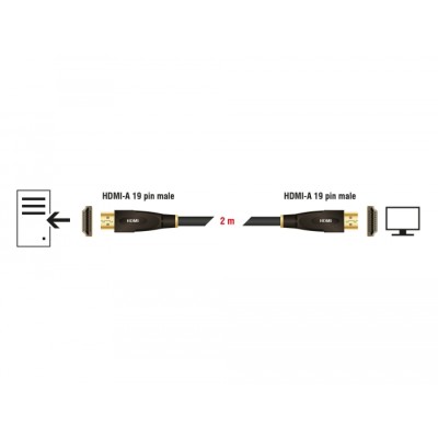 Delock High Speed HDMI with Ethernet Cable 4K 30 Hz 2 m 2