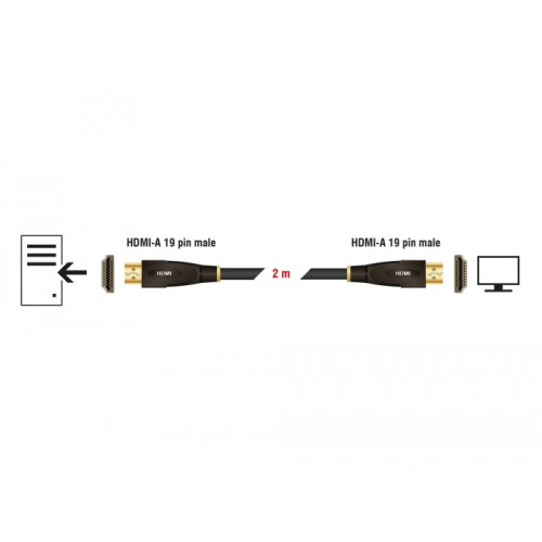 Delock High Speed HDMI with Ethernet Cable 4K 30 Hz 2 m