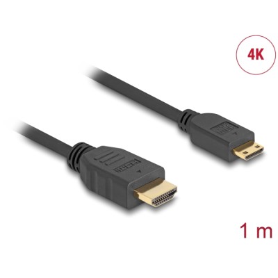 Delock Cable High Speed HDMI with Ethernet - HDMI-A male  HDMI Mini-C male 4K 1 m Slim
