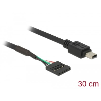 Delock Cable USB 2.0 pin header female 5 pin  USB 2.0 Type Mini-B male 30 cm