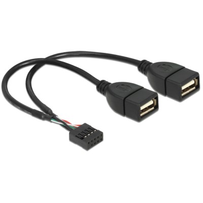 Delock USB Cable Pin header female > 2 x USB 2.0 type-A female 20 cm 2