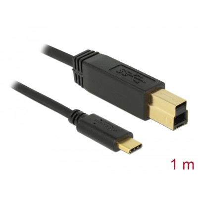 Delock USB 3.1 Gen 2 (10 Gbps) cable Type-C to Type-B 1 m