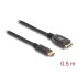 Delock Cable SuperSpeed USB 10 Gbps (USB 3.1, Gen 2) USB Type-C™ male > USB type Micro-B male 0.5 m black