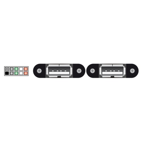 Delock Cable USB 2.0 pin header female 2.00 mm 10 pin > 2 x USB 2.0 Type-A female panel-mount 25 cm