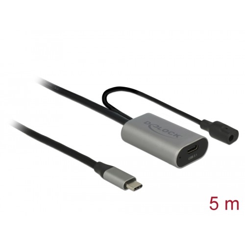 Delock Active USB 3.1 Gen 1 extension cable USB Type-C™ 5 m