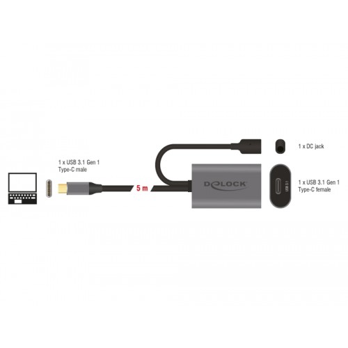 Delock Active USB 3.1 Gen 1 extension cable USB Type-C™ 5 m