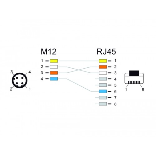 Delock Network cable M12 4 pin D-coded to RJ45 plug PVC 2 m