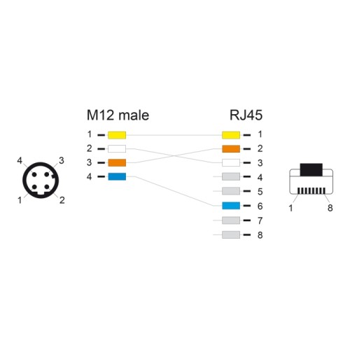 Delock Network cable M12 4 pin D-coded to RJ45 Hirose plug TPU 2 m