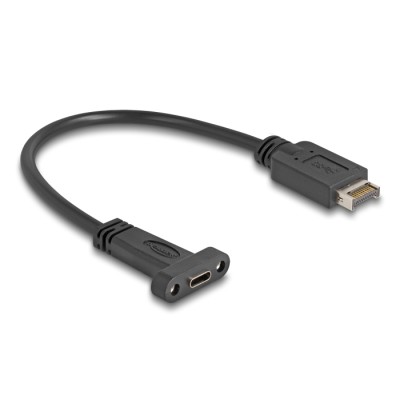 Delock USB 10 Gbps Cable USB Type-E Key A 20 pin male to USB Type-C™ female panel-mount 25 cm 2