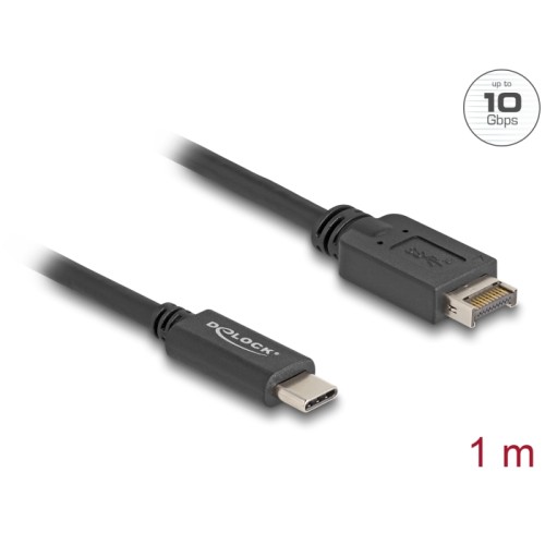 Delock USB 10 Gbps Cable USB Type-E Key A 20 pin male to USB Type-C™ male 1 m