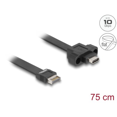 Delock USB 10 Gbps Flat Cable Type-E Key A 20 pin male to USB Type-C™ female panel-mount 75 cm