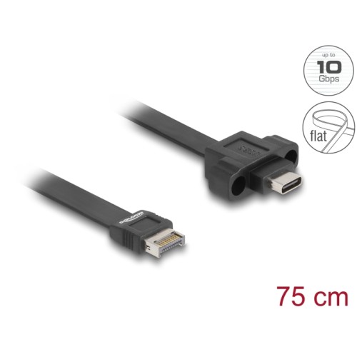 Delock USB 10 Gbps Flat Cable Type-E Key A 20 pin male to USB Type-C™ female panel-mount 75 cm