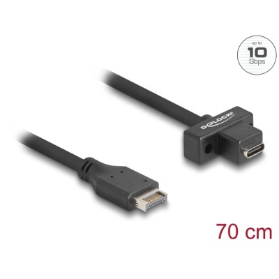 Delock USB 10 Gbps cable Type-E Key A 20 pin male to USB Type-C™ female panel-mount 70 cm
