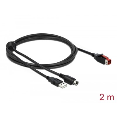 Delock PoweredUSB cable male 24 V to USB Type-A male + Mini-DIN 3 pin male 2 m for POS printers and terminals