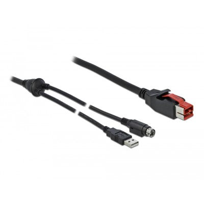 Delock PoweredUSB cable male 24 V to USB Type-A male + Mini-DIN 3 pin male 3 m for POS printers and terminals 2