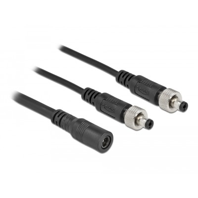 Delock DC Splitter Cable 5.5 x 2.1 mm 1 x female to 2 x male screwable 2