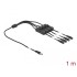 Delock Cable DC 5.5 x 2.1 mm male to 4 x DC female with switch 1 m