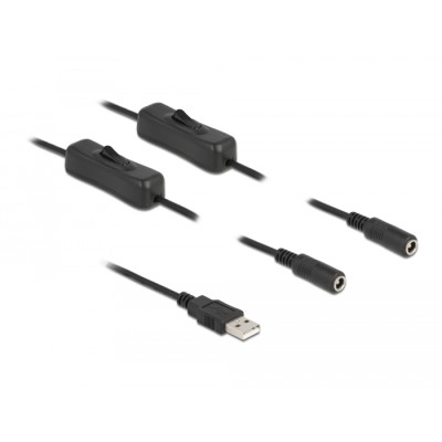 Delock Cable USB Type-A male to 2 x DC 5.5 x 2.1 mm female with switch 1 m 2