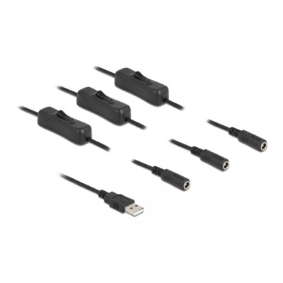 Delock Cable USB Type-A male to 3 x DC 5.5 x 2.1 mm female with switch 1 m 2