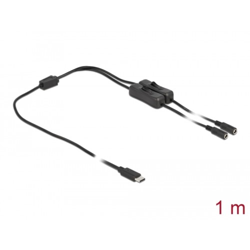 Delock Cable USB Type-C™ male to 2 x DC 5.5 x 2.1 mm female with switch 1 m